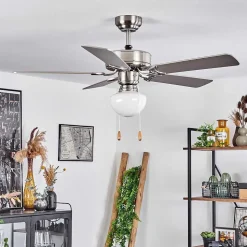 Ventilateur De Plafond Apiao Brun, Couleur Bois, Argente, 1 Lumiere