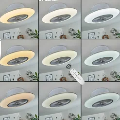 Ventilateur De Plafond Chaville Led Blanc, 1 Lumiere, Telecommandes