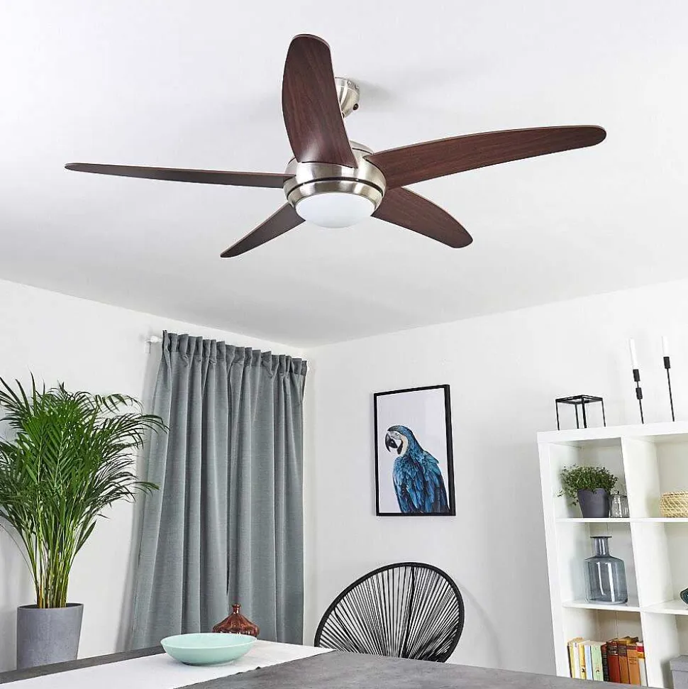 Ventilateur De Plafond Imon Bois Fonce, Nickel Mat, 1 Lumiere, Telecommandes