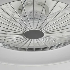 Ventilateur De Plafond Moli Led Blanc, 1 Lumiere, Telecommandes