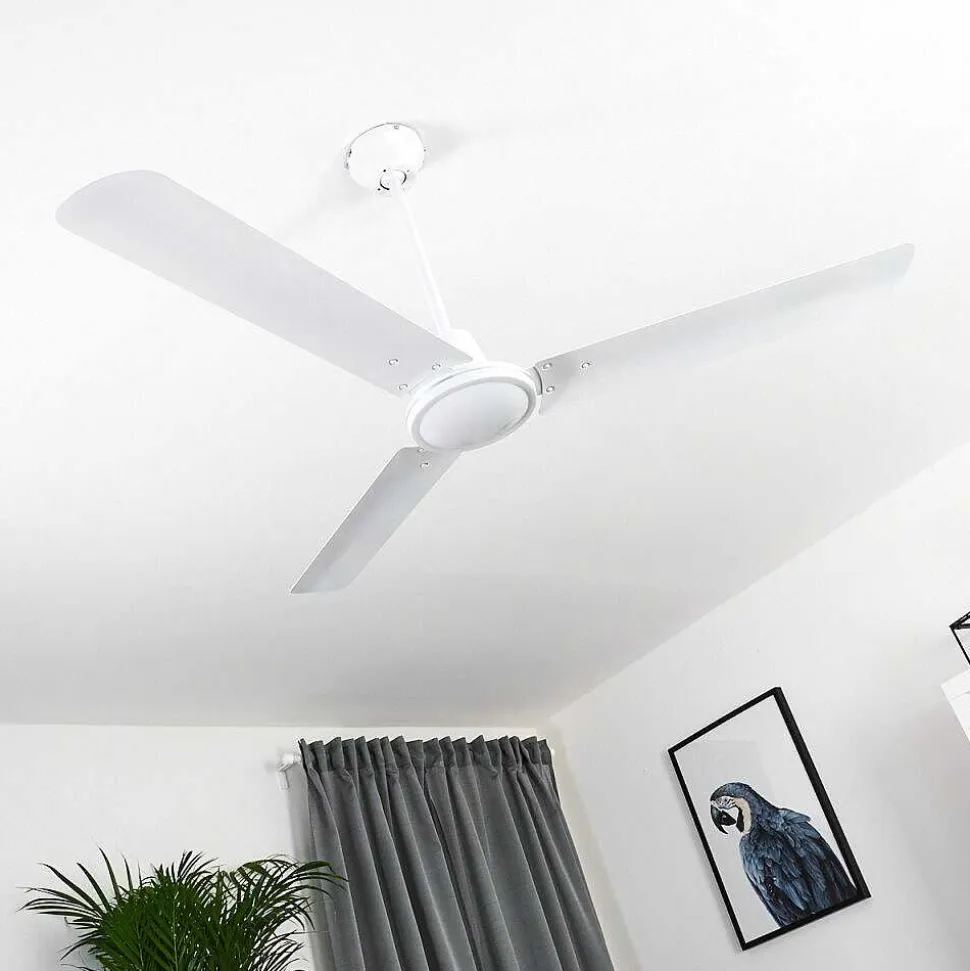Ventilateur De Plafond Nerja Blanc