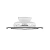 Ventilateur De Plafond Reality Flaga Led Noir, 1 Lumiere, Telecommandes