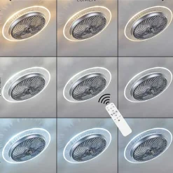 Ventilateur De Plafond Tamworth Led Argente, Transparent, 1 Lumiere, Telecommandes