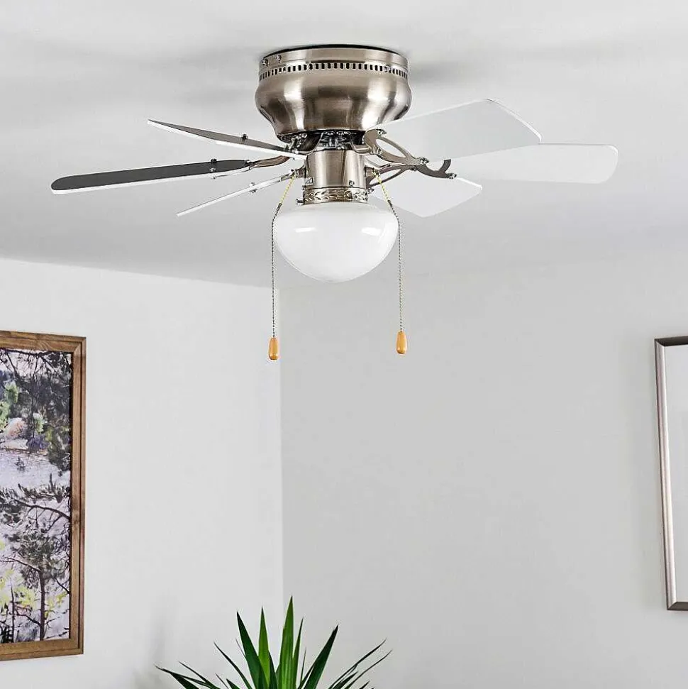Ventilateur De Plafond Trillo Gris, Nickel Mat, Blanc, 1 Lumiere