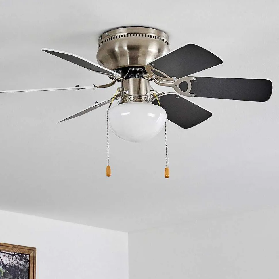 Ventilateur De Plafond Trillo Gris, Nickel Mat, Blanc, 1 Lumiere