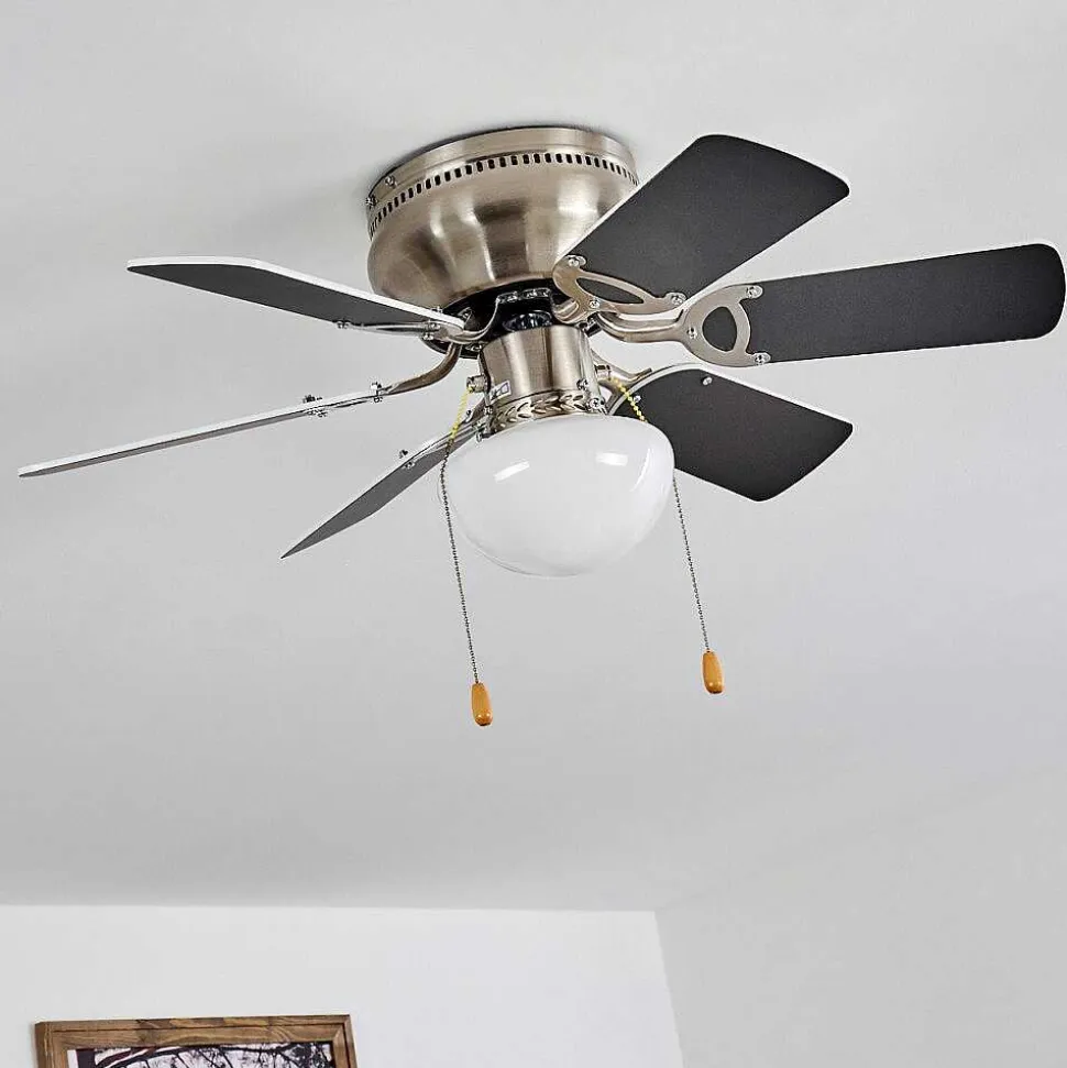 Ventilateur De Plafond Trillo Gris, Nickel Mat, Blanc, 1 Lumiere