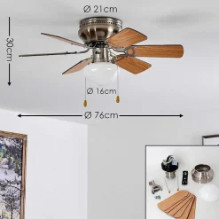 Ventilateur De Plafond Trillo Nickel Mat, 1 Lumiere