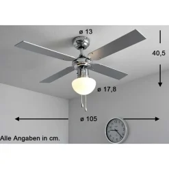 Ventilateur Globo Champion Chrome, Acier Inoxydable, Blanc, 1 Lumiere