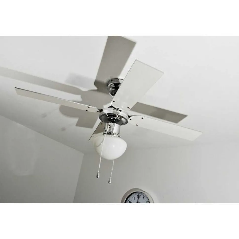 Ventilateur Globo Champion Chrome, Acier Inoxydable, Blanc, 1 Lumiere