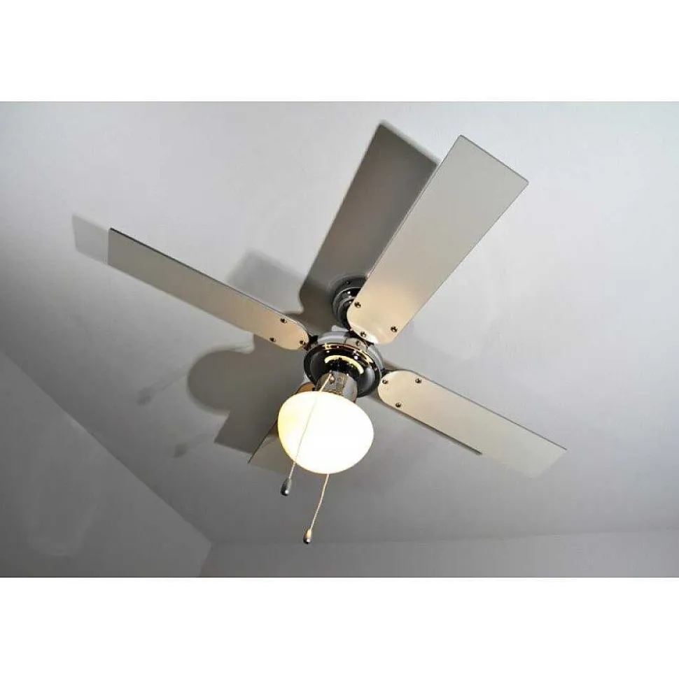Ventilateur Globo Champion Chrome, Acier Inoxydable, Blanc, 1 Lumiere