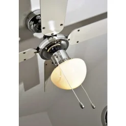 Ventilateur Globo Champion Chrome, Acier Inoxydable, Blanc, 1 Lumiere