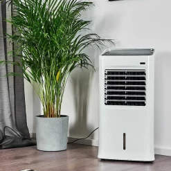Ventilateur Scottsdale Blanc, Telecommandes
